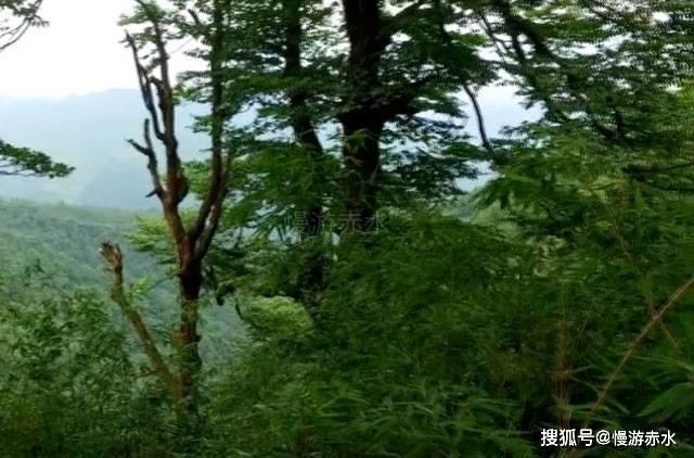 被领导甩锅控制不住哭的时候怎么办？