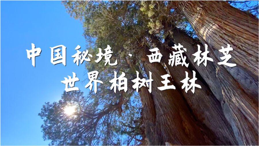 废弃诡异房逃离