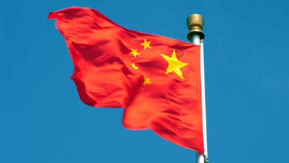 爱吃叶子的毛毛虫
