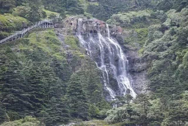 小猫钓鱼开船版最新版下载