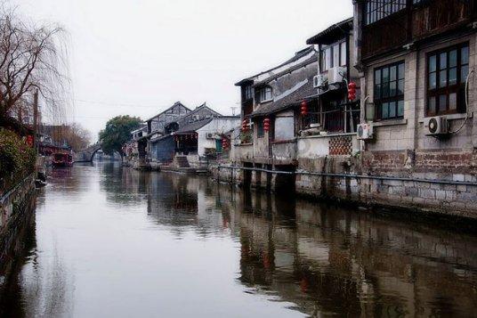 怎样做出简单营养的面条游戏画面